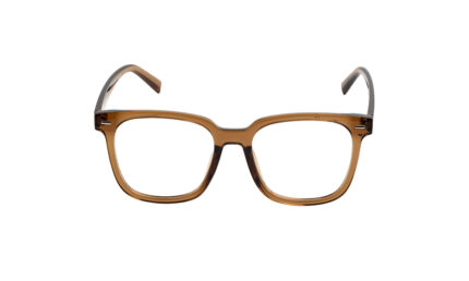 GOGGLESGURU BROWN ACETATE RECTANGLE MEN EYEGLASSES