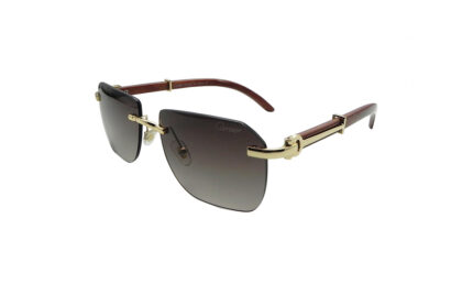 CARTIER GOLDEN METAL SQUARE MEN SUNGLASSES 2