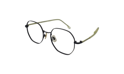 GOGGLESGURU BLACK TITANIUM HEXAGONAL WOMEN EYEGLASSES 2