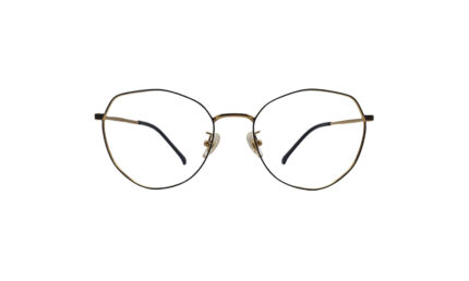 GOGGLESGURU GOLDEN TITANIUM ROUND MEN EYEGLASSES 1