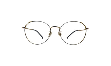 GOGGLESGURU GOLDEN TITANIUM ROUND MEN EYEGLASSES 1