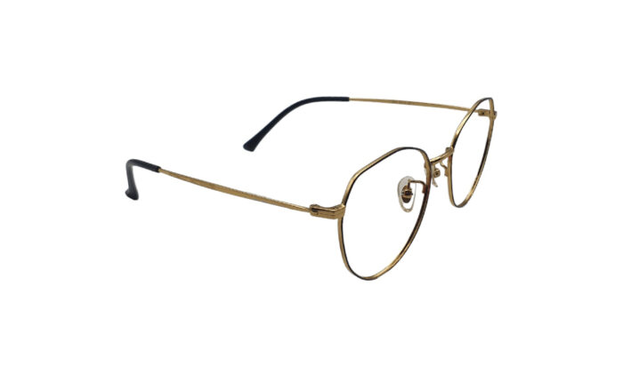 GOGGLESGURU GOLDEN TITANIUM ROUND MEN EYEGLASSES 3