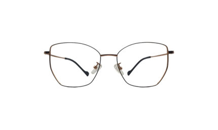 GOGGLESGURU ROSE GOLD TITANIUM GEOMETRIC MEN EYEGLASSES 1