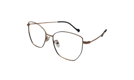 GOGGLESGURU ROSE GOLD TITANIUM GEOMETRIC MEN EYEGLASSES 2