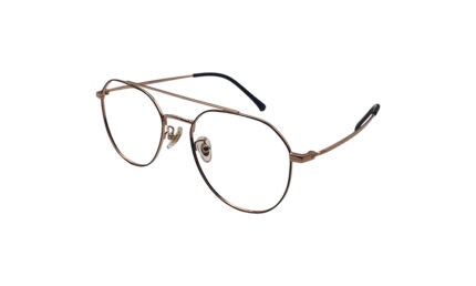 GOGGLESGURU ROSE GOLD TITANIUM ROUND MEN EYEGLASSES 2