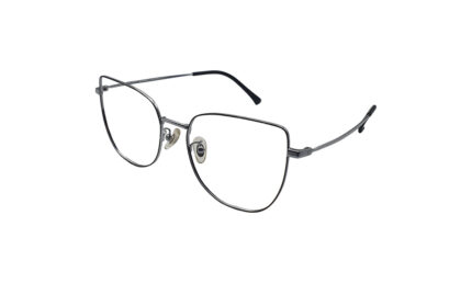 GOGGLESGURU SILVER TITANIUM CAT EYE WOMEN EYEGLASSES 2