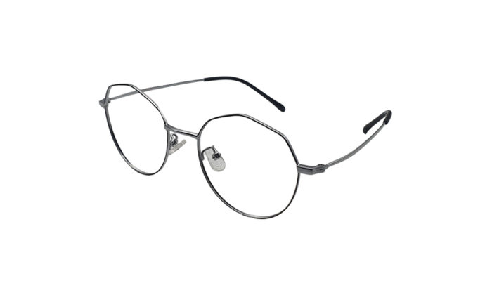 GOGGLESGURU SILVER TITANIUM ROUND WOMEN EYEGLASSES 2