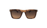 DAVID BECKHAM BROWN ACETATE SQUARE WOMEN SUNGLASSES 1