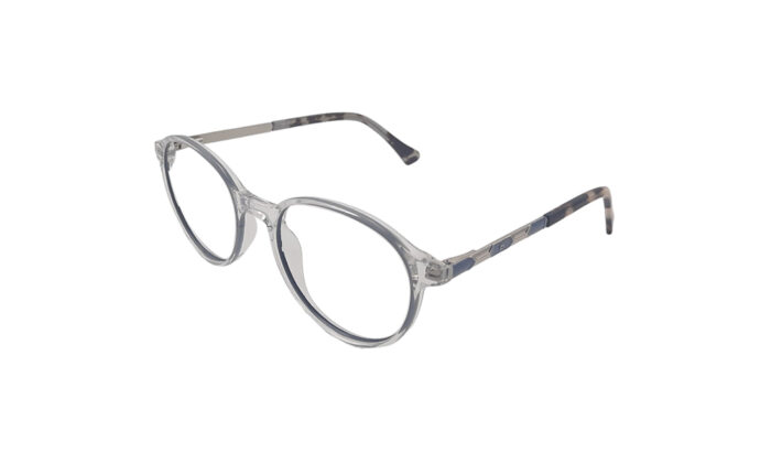 GOGGLESGURU TRANSLUCENT GRAY ACETATE ROUND WOMEN EYEGLASSES 2