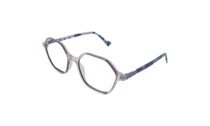 GOGGLESGURU TRANSLUCENT PURPLE ACETATE HEXAGONAL MEN EYEGLASSES 2