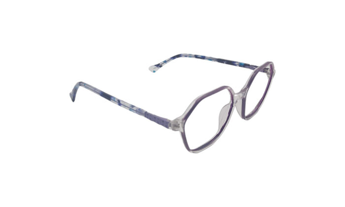 GOGGLESGURU TRANSLUCENT PURPLE ACETATE HEXAGONAL MEN EYEGLASSES 3